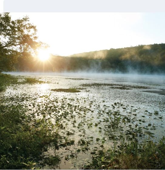 Sunrise over a lake, with the mist rolling in over the top of the lake