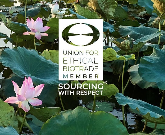 Union For Ethical Bio Trade Member. Sourcing with Respect