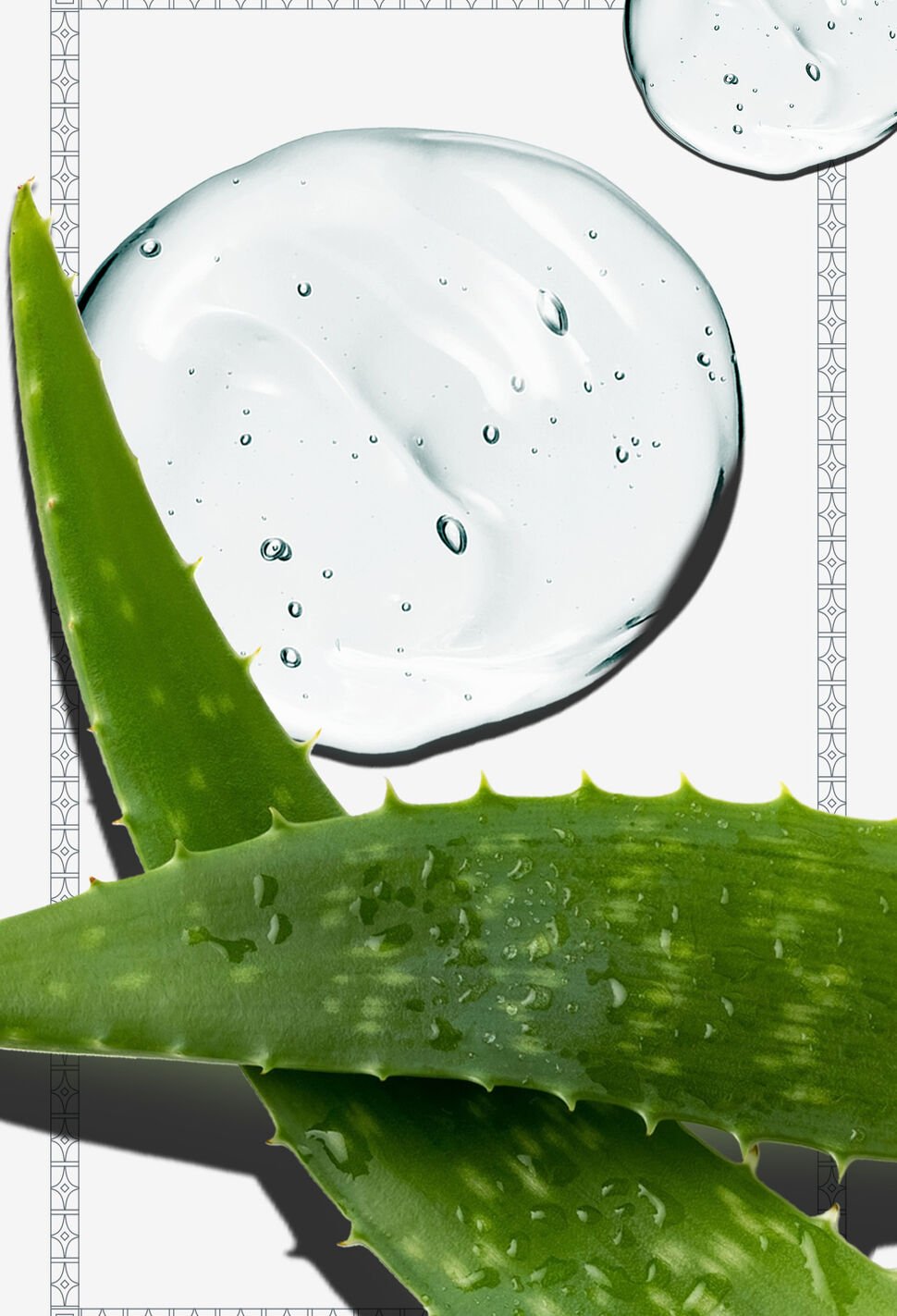 aloe vera helps skin