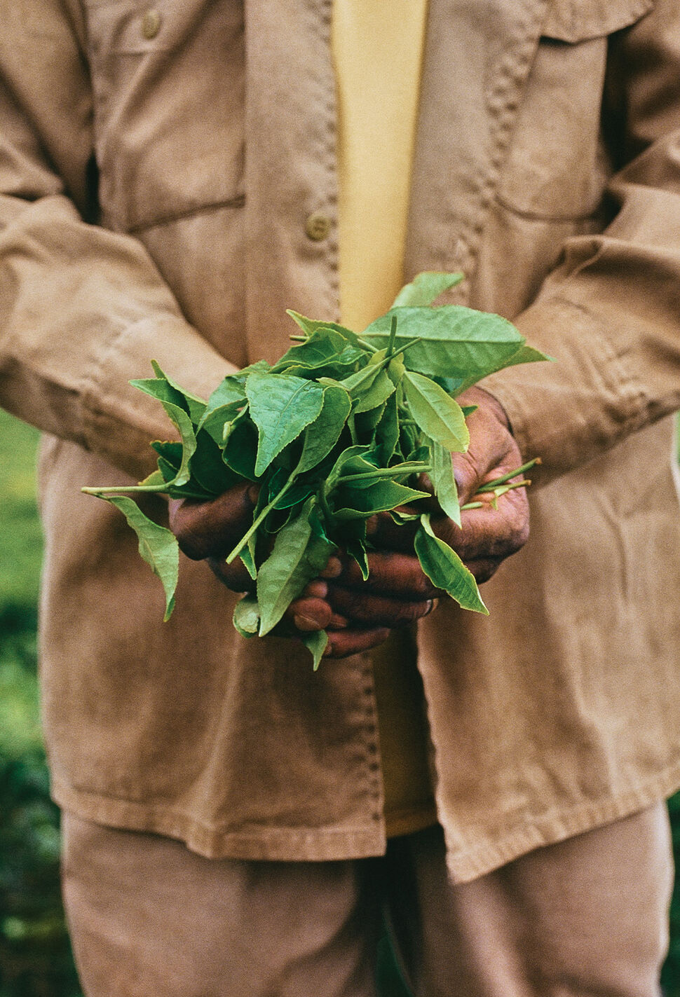 Caring for the SKin of the Earth