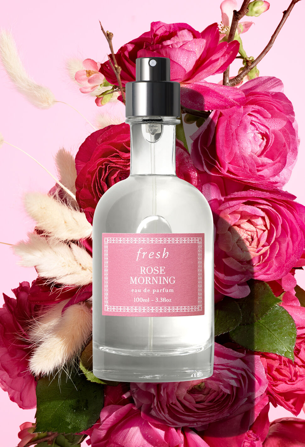 fresh Rose Morning fragrance in front of pink roses