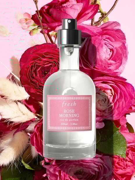 fresh Rose Morning fragrance in front of pink roses